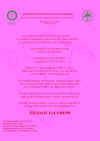 Flyer_in_greek.jpg (194123 bytes)